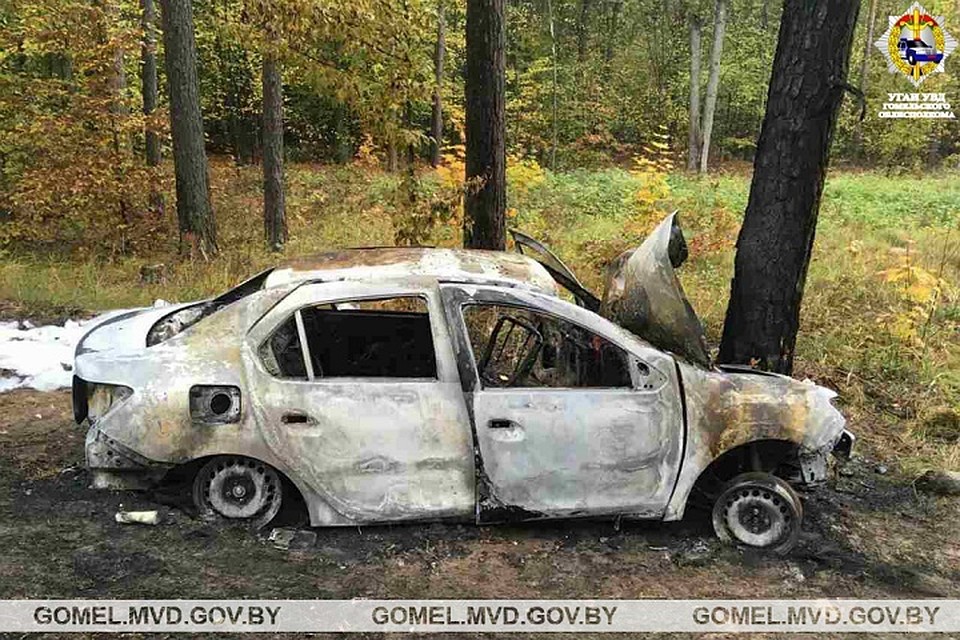 Renault врезалось в дерево и загорелось. Фото: УВД Гомельского облисполкома.
