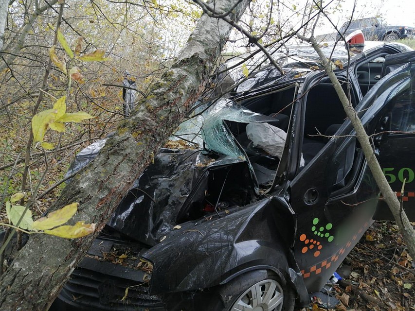 Фото: 62.мвд.рф