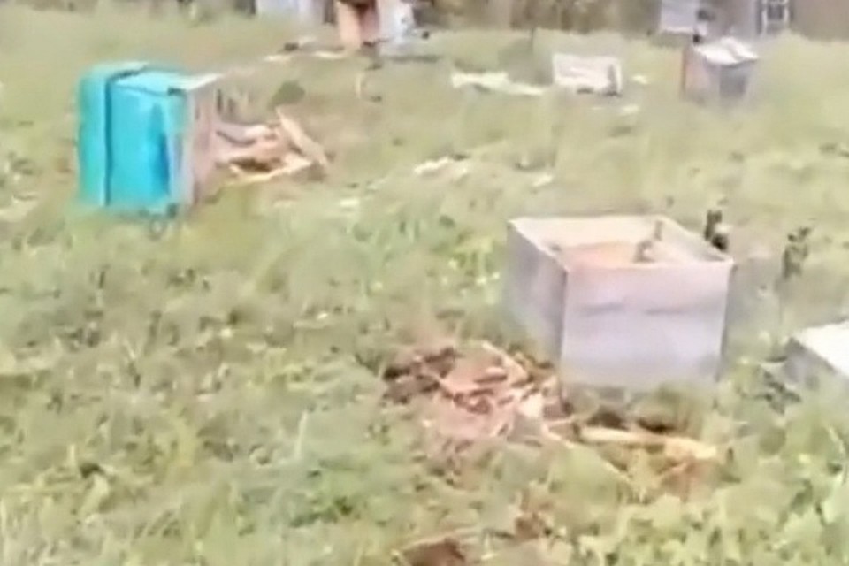 фото: скриншот видео