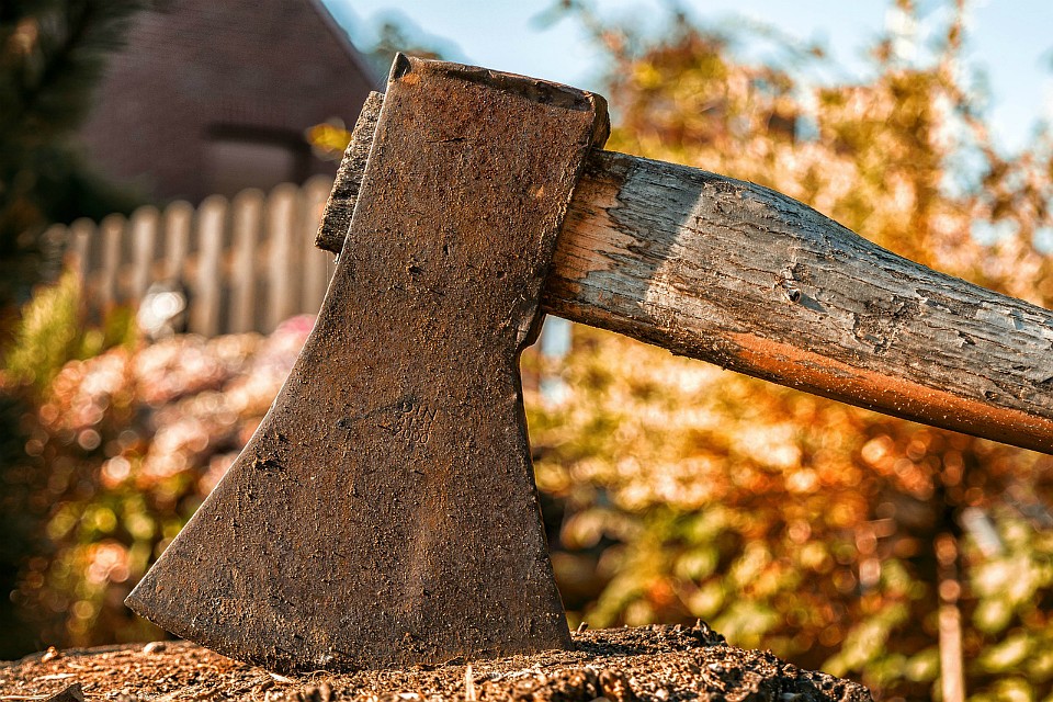 Мужчина разозлился из за слов своего приятеля и стал решать дело топором. Фото: pixabay.com.