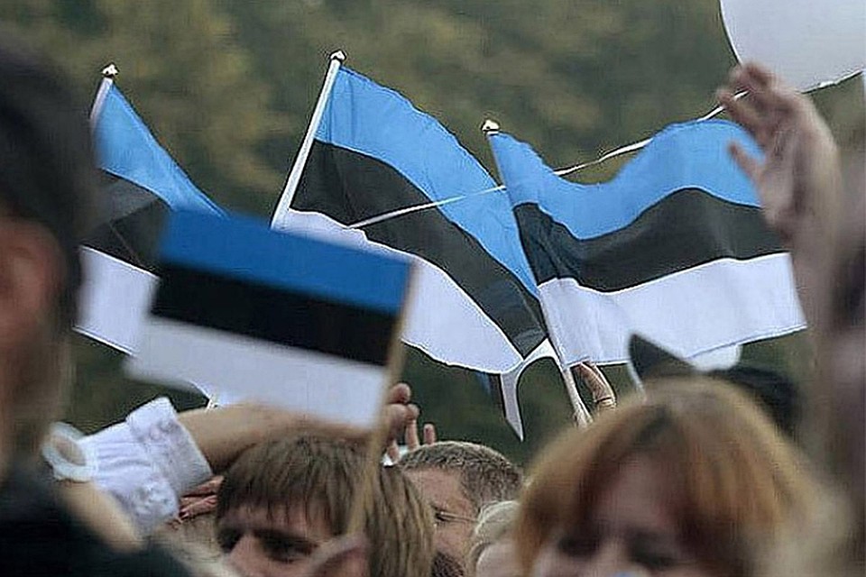 Эстонский парламент не поддержал законопроект, который позволил бы незамедлительно получить гражданство всем детям. Фото: с сайта inestonia.ru