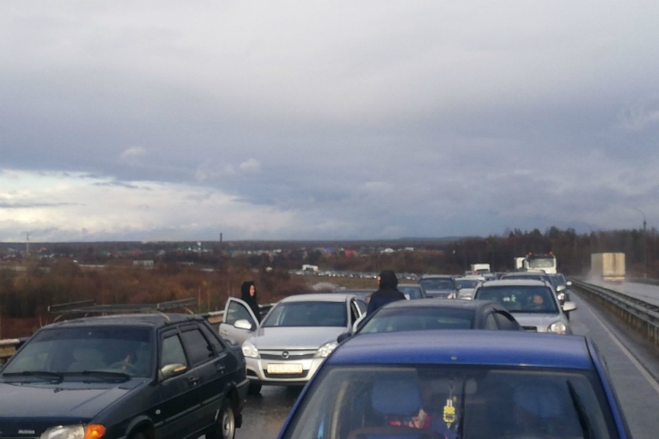 «Хвост» пробки теряется за горизонтом. Фото: vk.com/zlo43