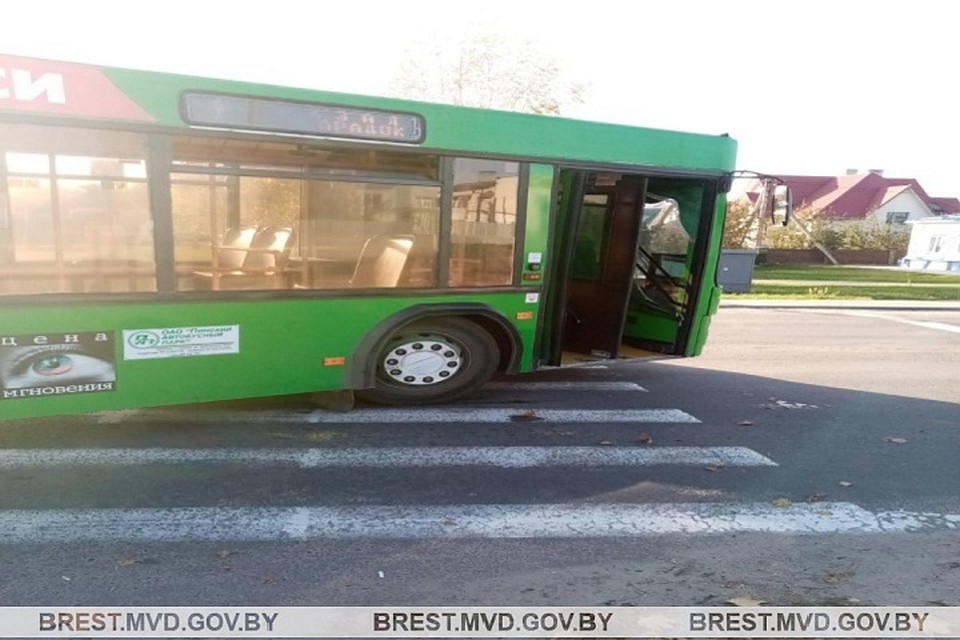 Водитель автобуса не пропустил пешехода. Фото: УВД Брестского облисполкома.