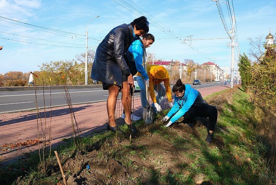 Изгородь из кизильника должна оградить крутые склоны Верхнего Судка.