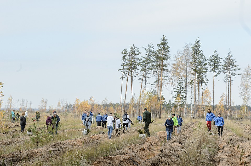 фото govvrn.ru