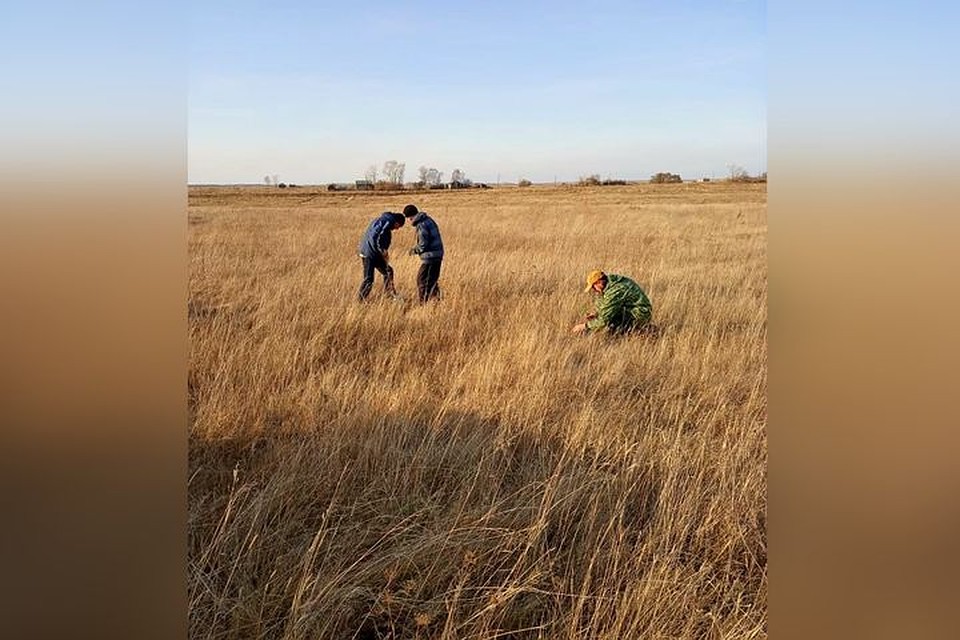 Мужчина высадил деревья, чтобы помочь природе