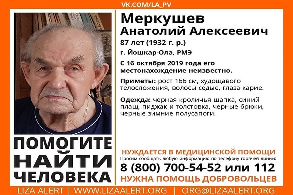 Фото: ПСО "Лиза Алерт"