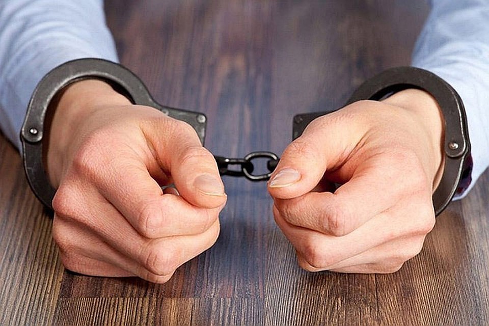 В Латвии за незаконный оборот детской порнографии задержан антироссийский пропагандист Сергей Алексеев. Фото: с сайта skr.su