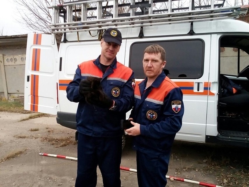 Фото из соцсетей