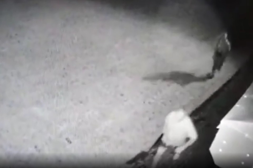 Момент убийства бывшего мэра Киселевска Сергея Лаврентьева попал на видео.Фото: Кадр видео