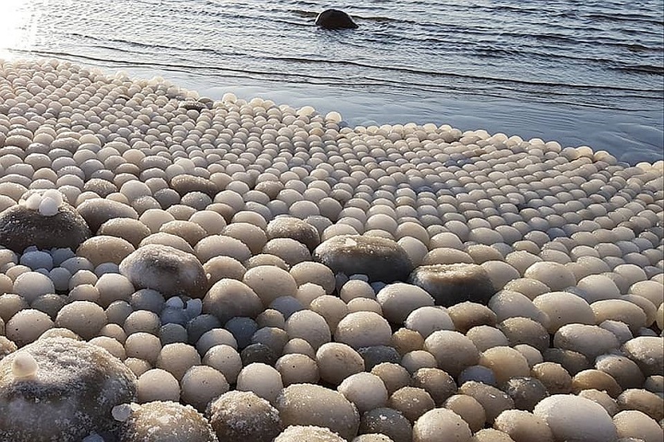 Побережье Балтийского моря покрылось "ледяными яйцами". Фото: instagram.com/ailamatt