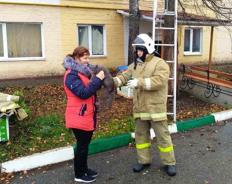 фото: ГУ МЧС России по Белгородской области.
