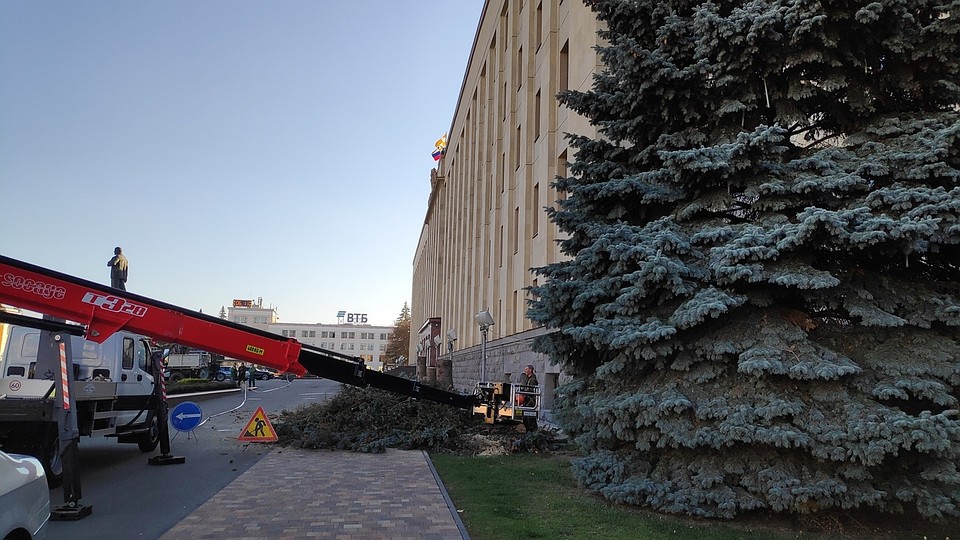 Спил елок