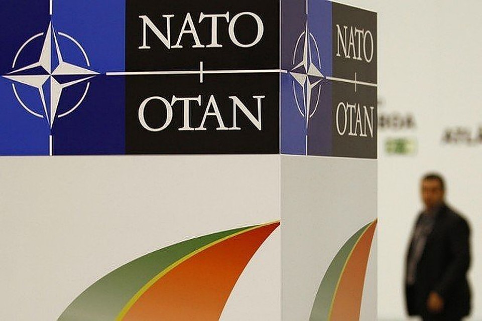 Макрон диагностировал у НАТО "смерть мозга"