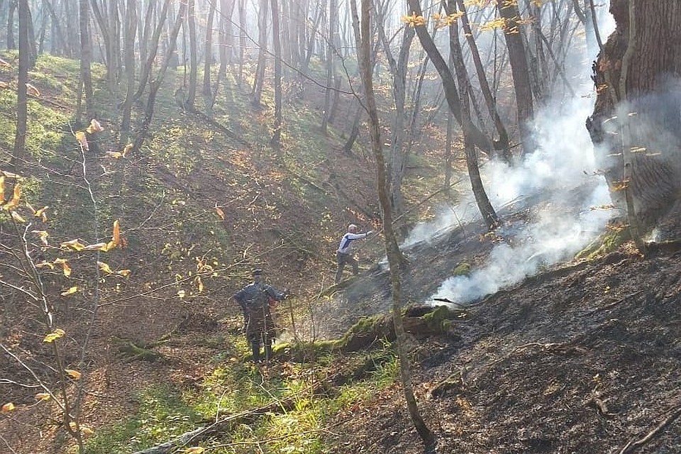 Тушение продолжится и 10 ноября Фото: instagram.com/adamdzharim/