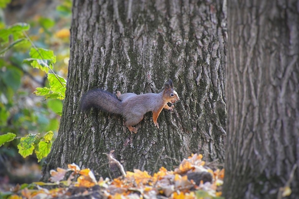 Фото: Алексей ФОКИН