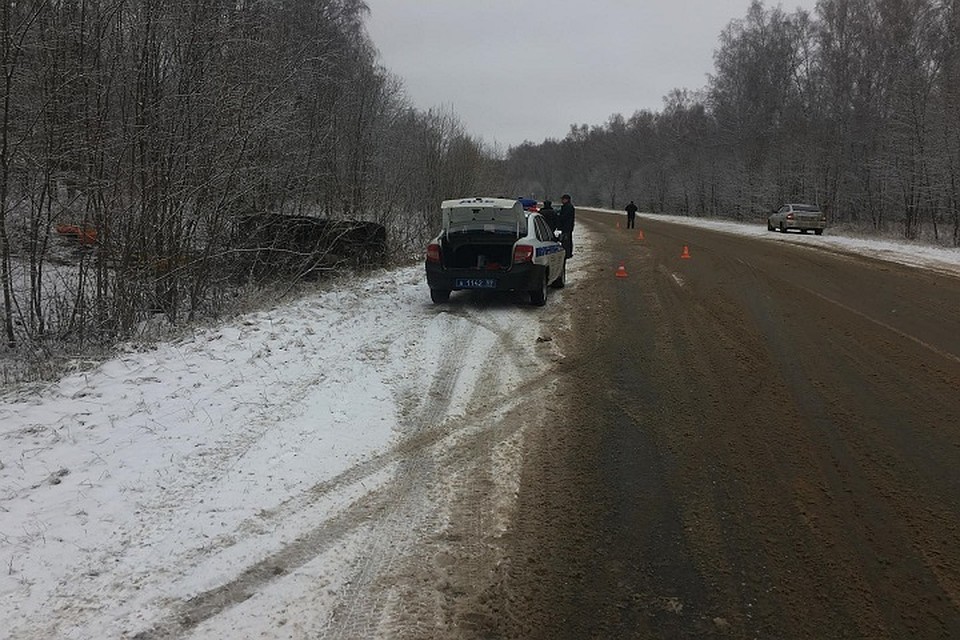 Фото: УГИБДД по Пермскому краю