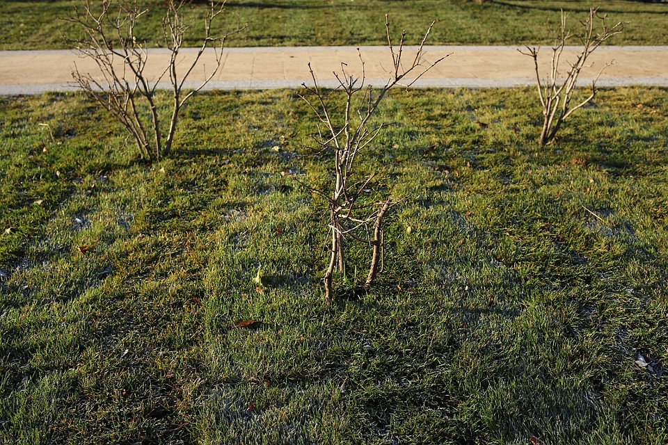 . Фото: Анастасия МАКАРЫЧЕВА
