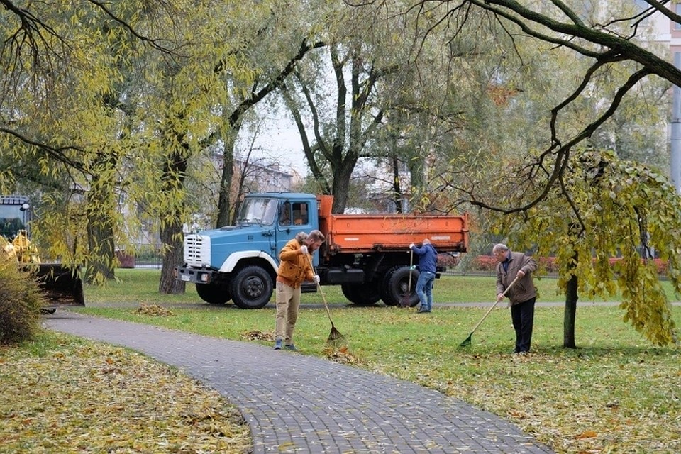 Больше всего горожан не устроила уборка в Центральном районе. Фото: gov.spb.ru