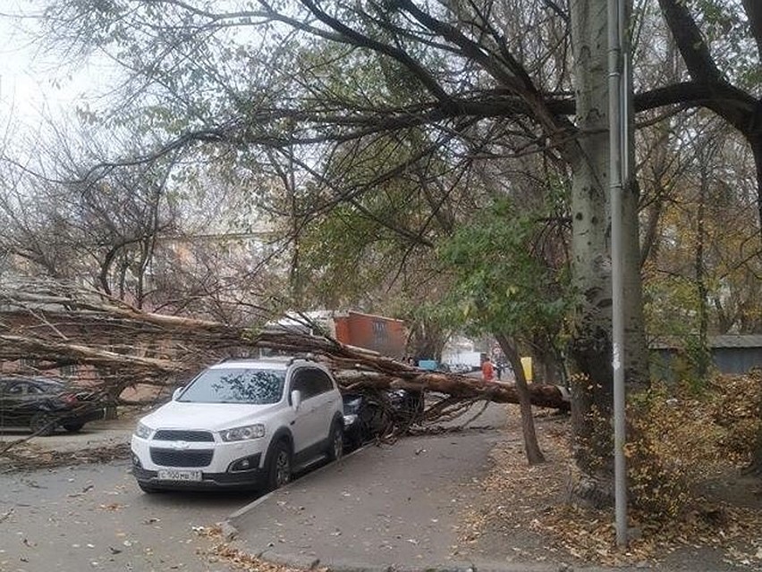 В городе сильный ветер. Фото: Инцидент Крым|Симферополь|Севастополь ДТП/VK