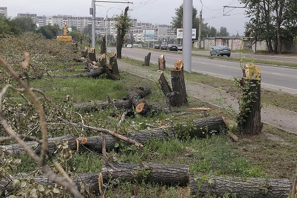 Иллюстративное фото