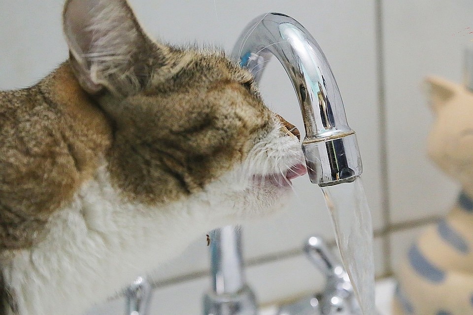 Специалисты проверяют, безопасна ли вода, которая течет из кранов жителей Автозаводского района Тольятти