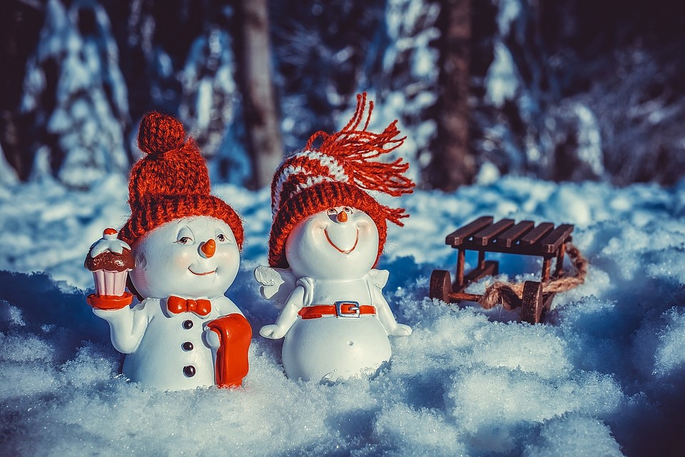 Фото: pixabay.com