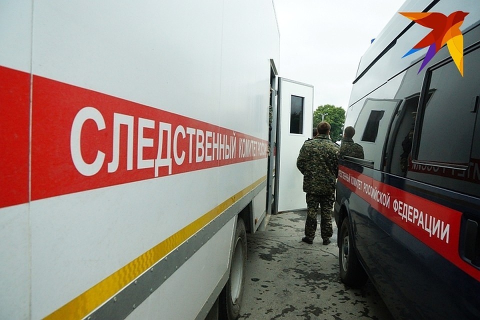 Следователи назначили судебные экспертизы, допрашивают свидетелей случившегося.