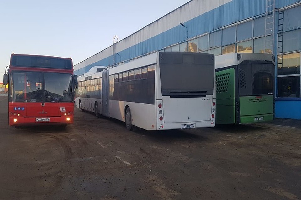 Фото: соцсети