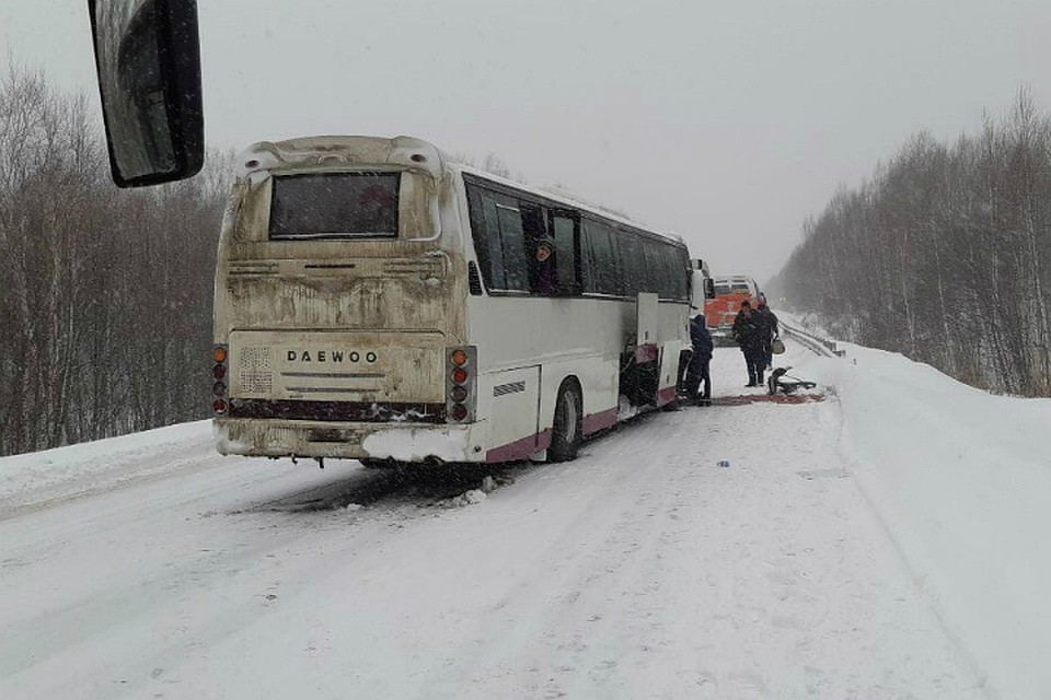 Под Комсомольском столкнулись «лоб в лоб» автобус и легковое авто