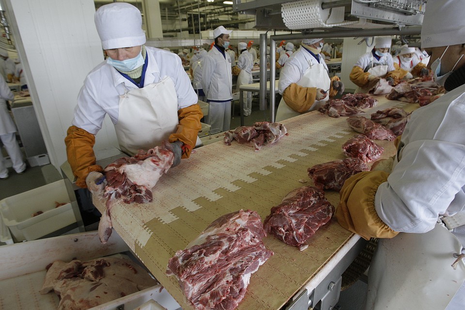 На переработку было отправлено 13,5 тонн испортившегося мяса.