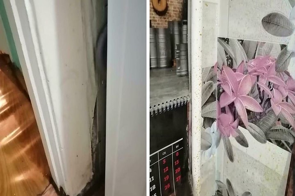 Сибиряки возмутились грязной квартире бабушки.