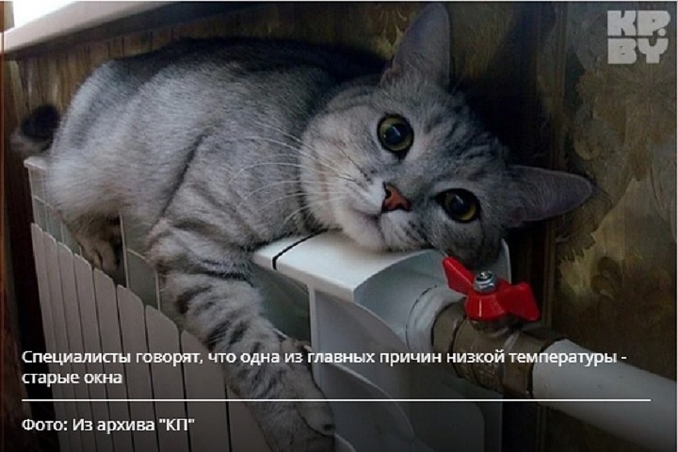 В такую погоду лучше всего греться дома.