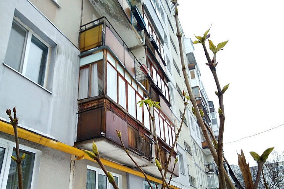 В канун Нового года на деревьях в Нижнем Новгороде набухли почки. ФОТО: "Нижний Новгород. Без цензуры".