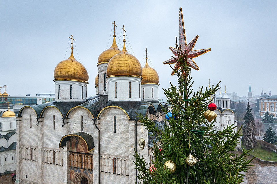 Главную елку страны в этот раз отыскали в Бородинском лесничестве в Подмосковье. Фото: Сергей КИСЕЛЕВ/Агентство городских новостей «Москва»