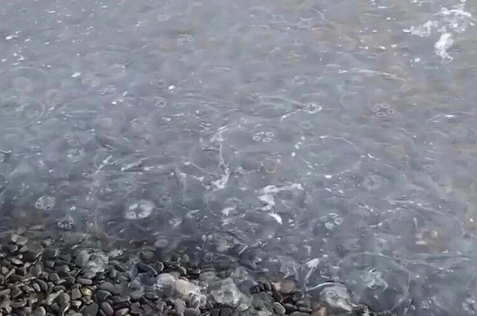 Черное море в районе курорта превратилось в кисель. Фото: Тупоанапа.