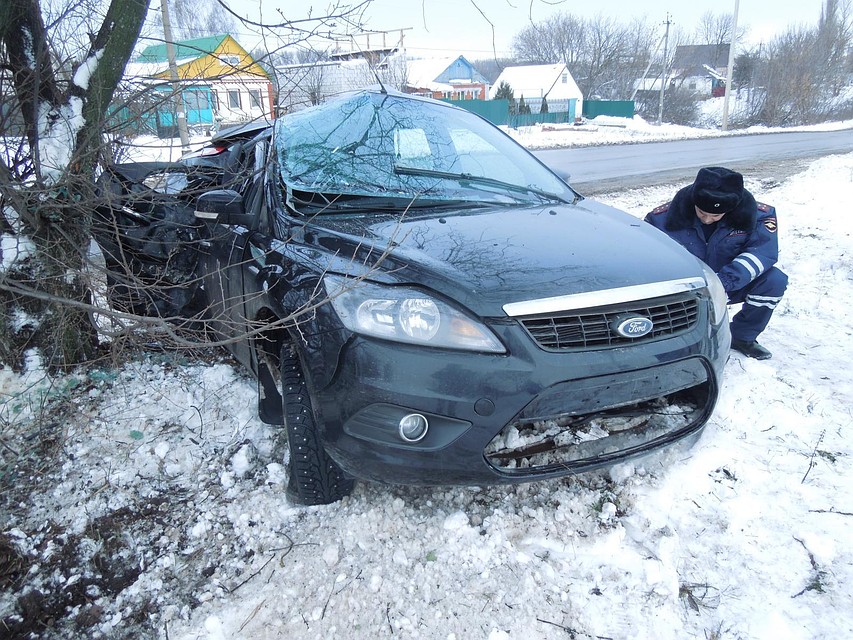 В Орловской области автоледи на «Форде» протаранила дерево. Фото: УГИБДД УМВД России по Орловской области