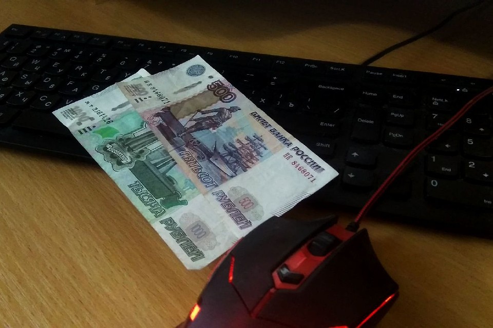Липчанка лишилась денег, купив дубленку по интернету