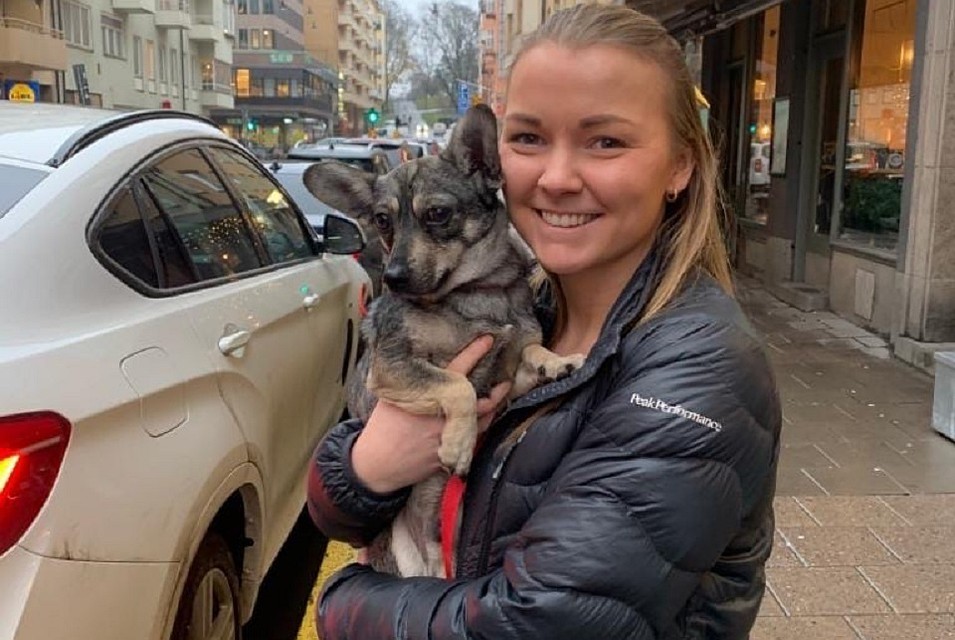 Акела и его новая подружка. Фото: волонтеры группы "Помощь Бучу"