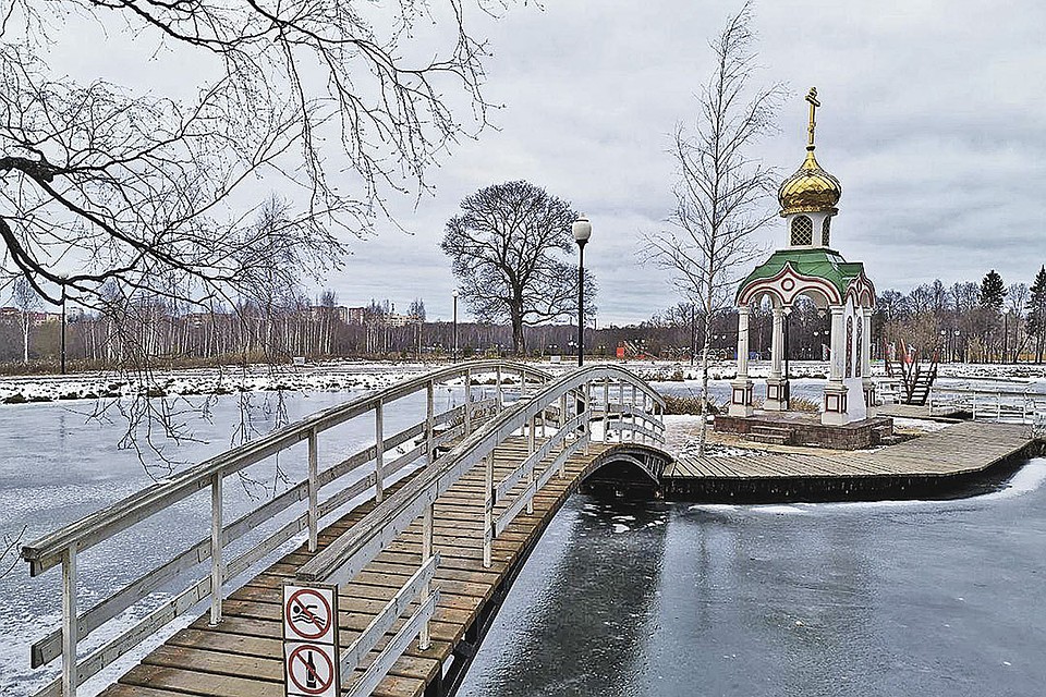 ФОТО: Пресс-служба Правительства МО