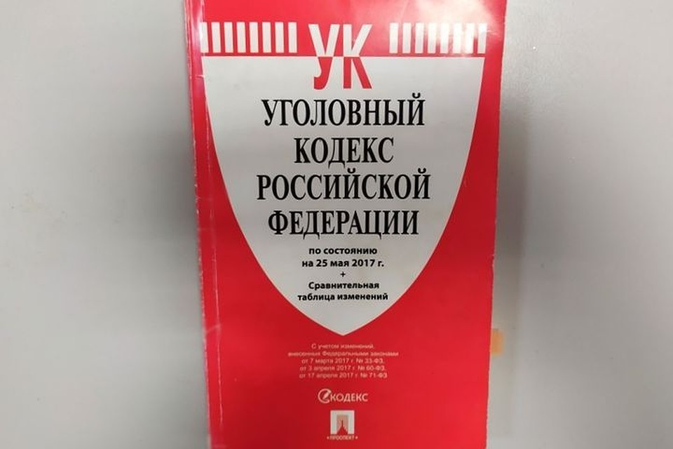 Девушке грозит наказание в соответствии с законом РФ
