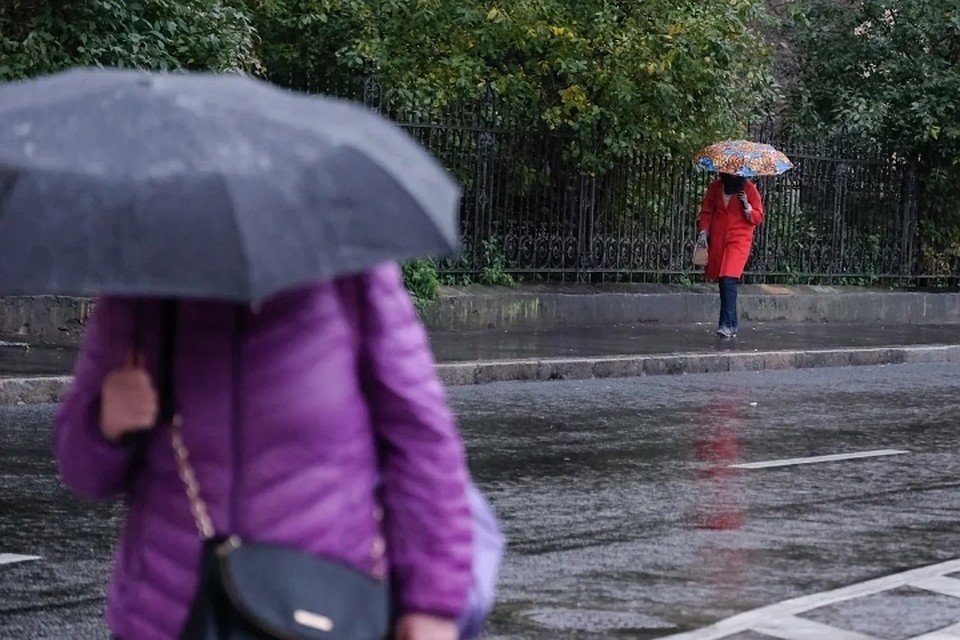 Теплая январская зима в Петербурге бьет температурные рекорды уже третий день подряд.