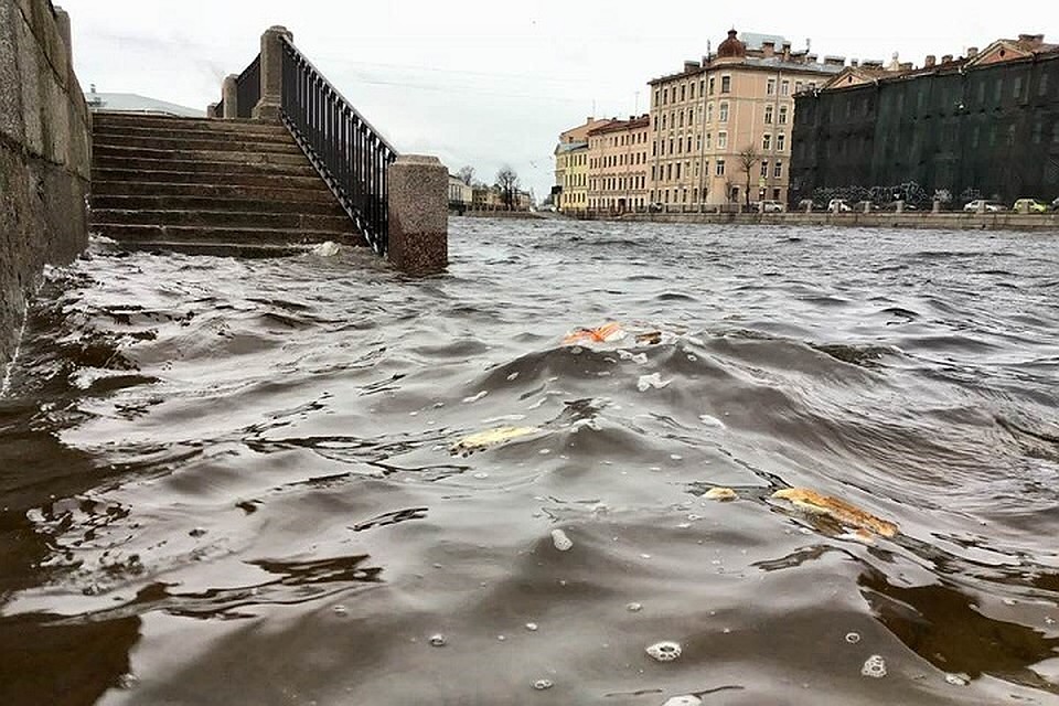 В Петербурге река Фонтанка вышла из берегов