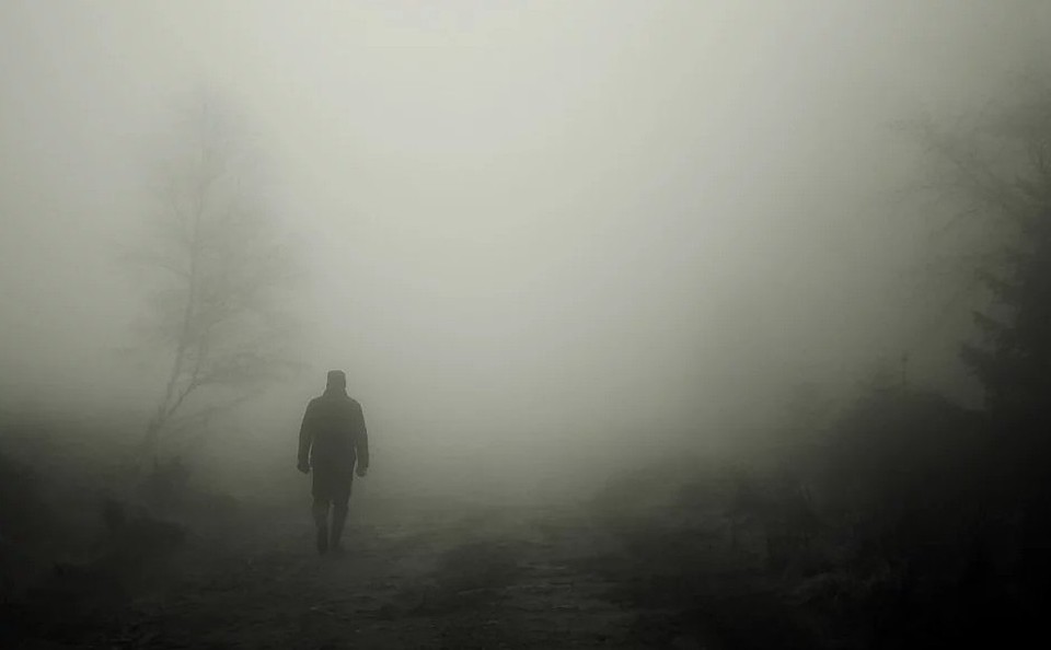 Фото: pixabay.com