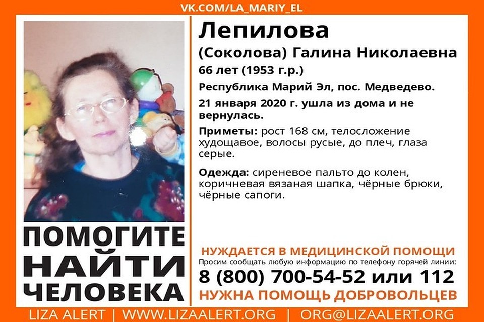 Фото: ПСО "Лиза Алерт"