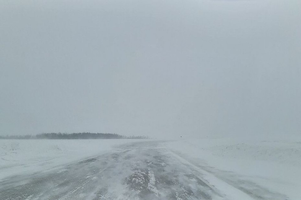 Метель на трассе. Фото: Ксения Лафа