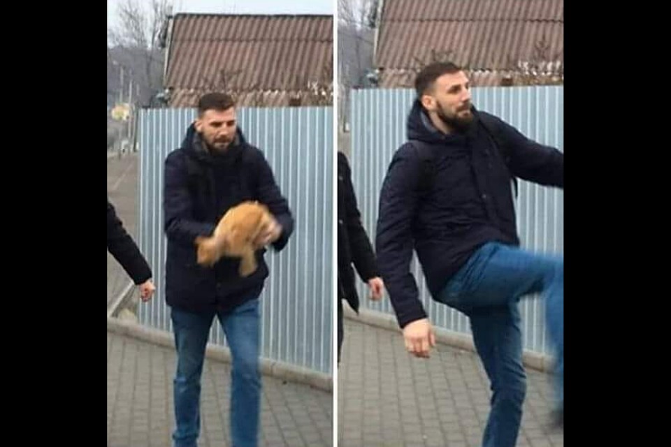 Скажите, как его зовут?