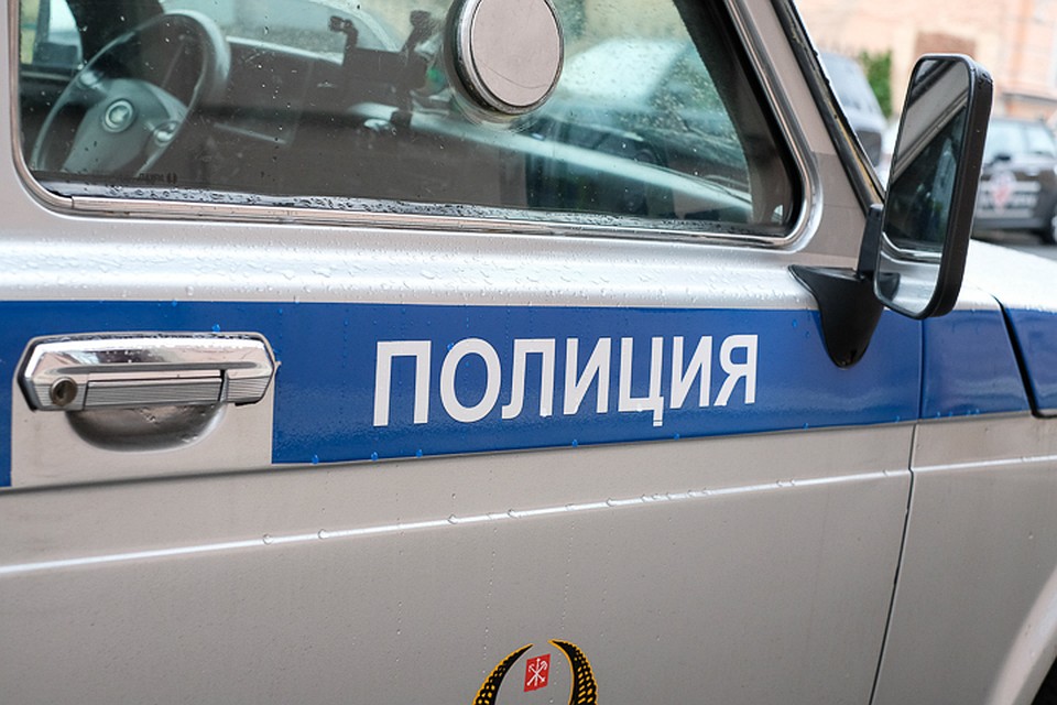 В Петербурге в бывшем здании воинской части нашли четыре искусанных крысами трупа