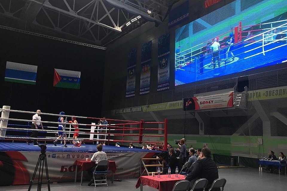 Ямальские спортсменки взяли «золото» на чемпионате по боксу Фото: администрация Нового Уренгоя