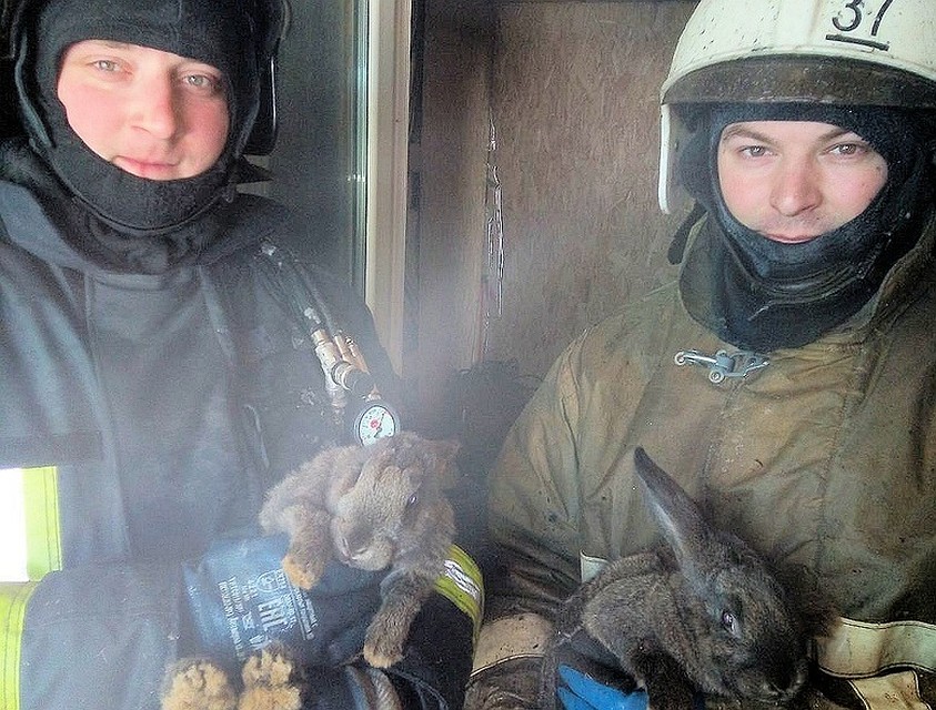 В Тобольске пожарные спасли кроликов. Фото - ГУ МЧС по Тюменской области.
